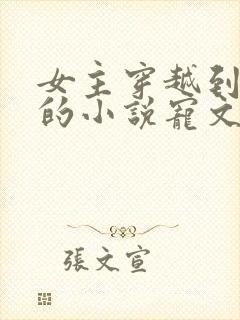 女主穿越到古代的小说宠文