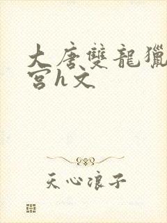 大唐双龙猎艳后宫h文