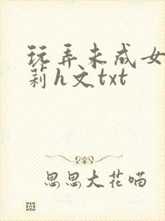 玩弄未成女小箩莉h文txt