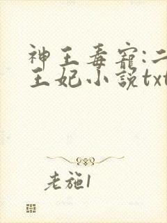 神王毒宠:二嫁王妃小说txt