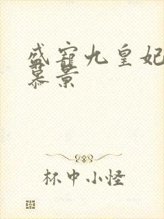 盛宠九皇妃轩辕慕景封面