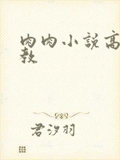 肉肉小说高h调教