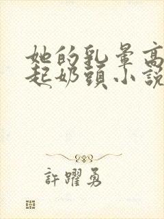 她的乳晕高高鼓起奶头小说封面
