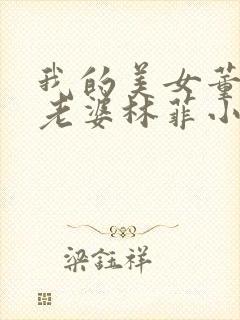 我的美女董事长老婆林菲小说封面