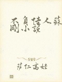 不负佳人苏柔赵刚小说