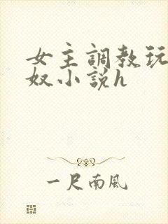 女主调教玩弄男奴小说h