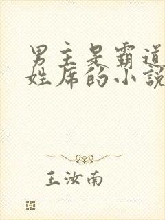 男主是霸道总裁姓席的小说