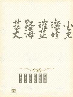 花路璀璨小说王大海芷晴免费阅读