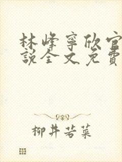 林峰宁欣官场小说全文免费阅读