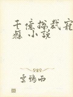 千亿总裁宠妻成瘾 小说