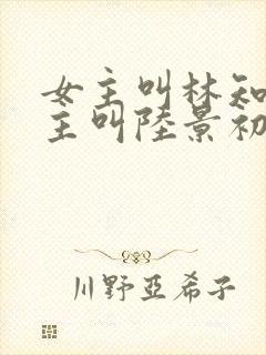 女主叫林知意男主叫陆景初