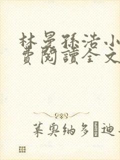 林曼孙浩小说免费阅读全文最新章节