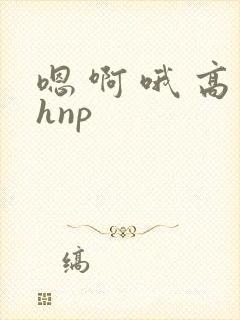 嗯 啊 哦 高hnp封面