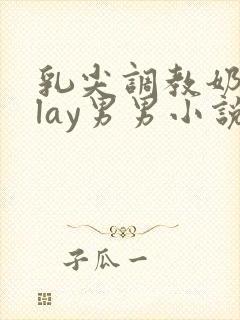 乳尖调教奶头play男男小说