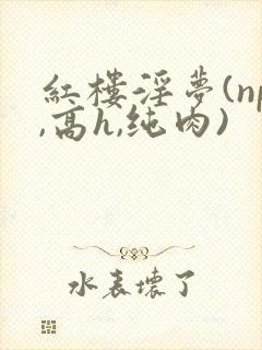 红楼淫梦(np,高h,纯肉)