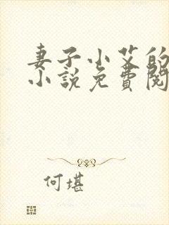 妻子小艾的悲哀小说免费阅读