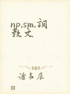 np,sm,调教文封面