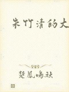 朱竹清的大奶子