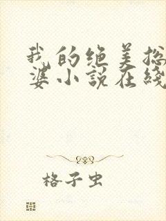 我的绝美总裁老婆小说在线阅读