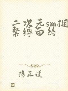 二次元sm捆绑紧缚白丝封面