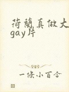 荷兰真做大尺度gay片
