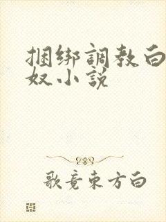 捆绑调教白丝绳奴小说封面