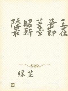 陆昭菱晋王小说最新章节在线阅读封面