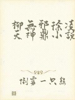 柳无邪徐凌雪吞天神鼎小说