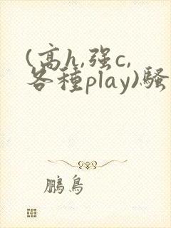 (高h,强c,各种play)骚话