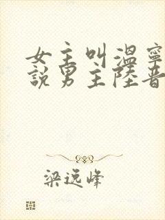 女主叫温宁的小说男主陆晋渊封面