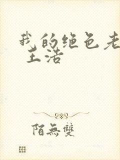 我的绝色老板娘 王浩