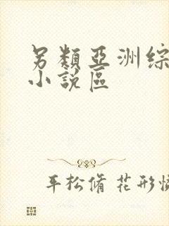 另类亚洲综合区小说区