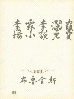 李霖李澜巅峰官场小说免费阅读