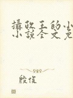 摄政王的小狼妃小说全文免费阅读