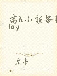 高h小说各种play