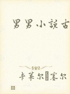 男男小说古代h