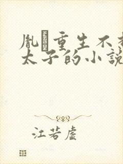 胤礽重生不想做太子的小说