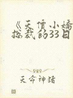 《天价小娇妻:总裁的33日索情》txt封面