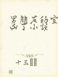 男朋友的室友太凶了小说封面