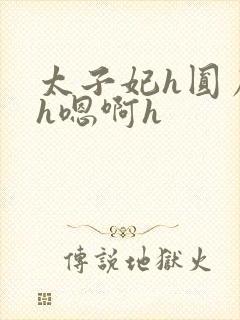 太子妃h圆房～h嗯啊h