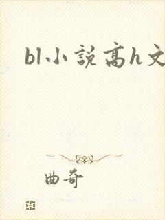 bl小说高h文