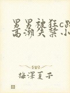 男男被狂c躁到高潮失禁小说