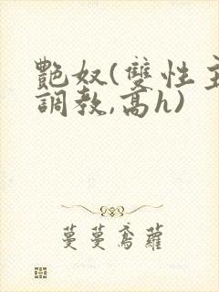 艳奴(双性主奴调教,高h)