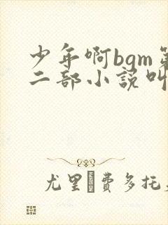 少年啊bgm第二部小说叫什么封面