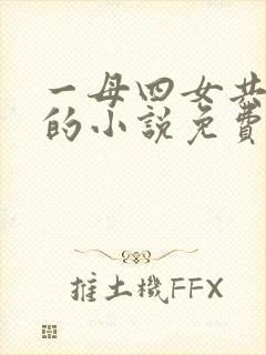 一母四女共一婿的小说免费阅读小冉