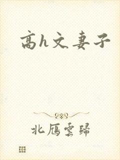 高h文妻子封面