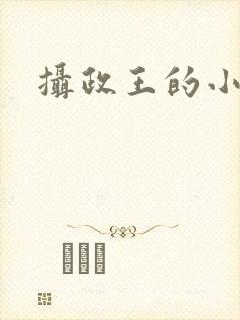 摄政王的小王妃