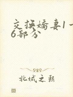 交换娇妻1一36部分