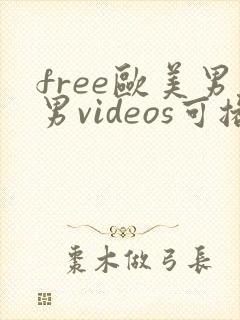 free欧美男男videos可播放