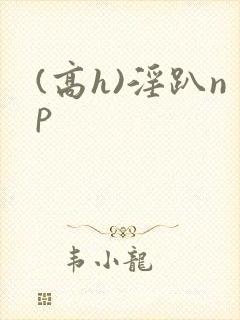 (高h)淫趴np